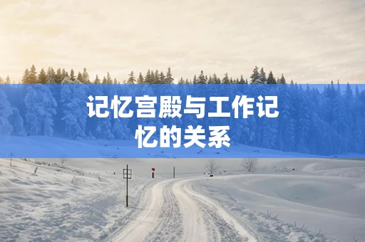 记忆宫殿与工作记忆的关系