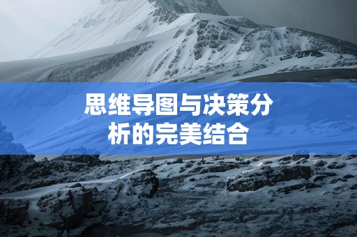 思维导图与决策分析的完美结合