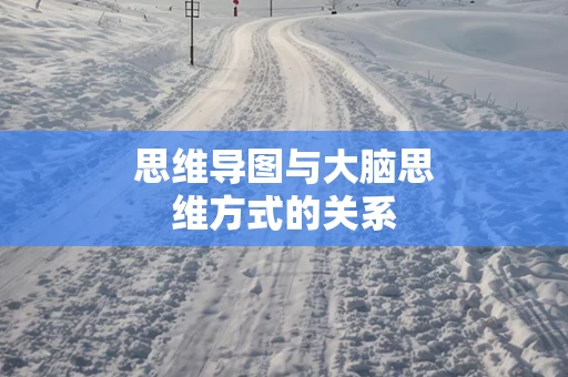 思维导图与大脑思维方式的关系