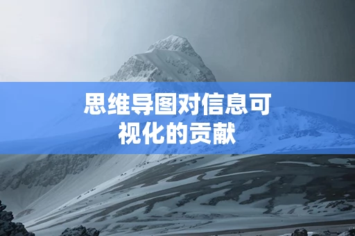 思维导图对信息可视化的贡献