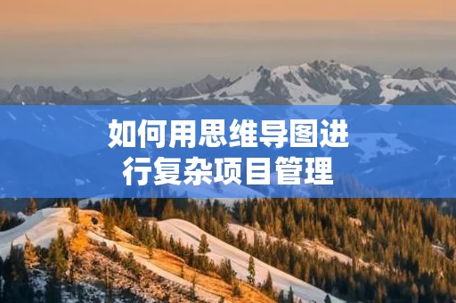 如何用思维导图进行复杂项目管理