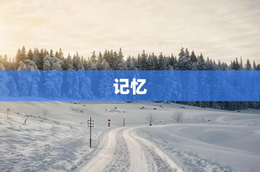 记忆