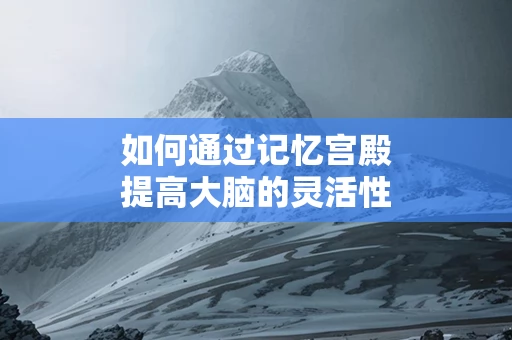 如何通过记忆宫殿提高大脑的灵活性
