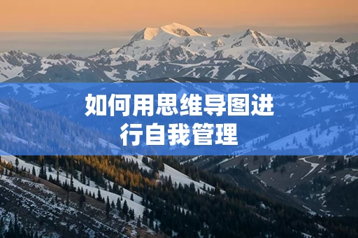 如何用思维导图进行自我管理