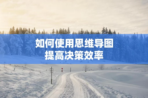 如何使用思维导图提高决策效率