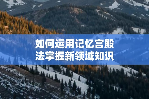 如何运用记忆宫殿法掌握新领域知识