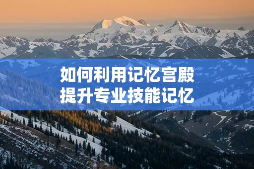 如何利用记忆宫殿提升专业技能记忆