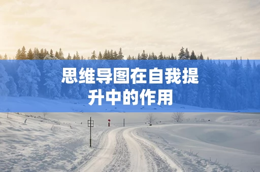 思维导图在自我提升中的作用