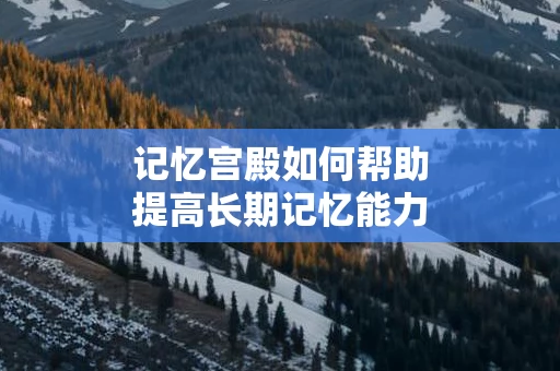 记忆宫殿如何帮助提高长期记忆能力