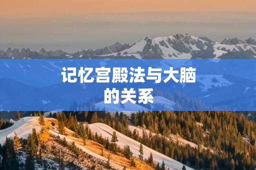 记忆宫殿法与大脑的关系