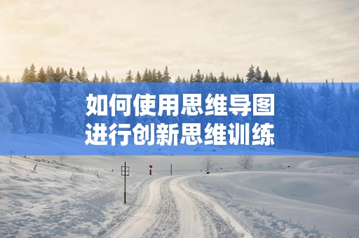 如何使用思维导图进行创新思维训练