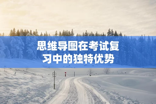 思维导图在考试复习中的独特优势