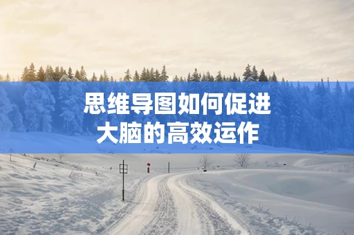 思维导图如何促进大脑的高效运作