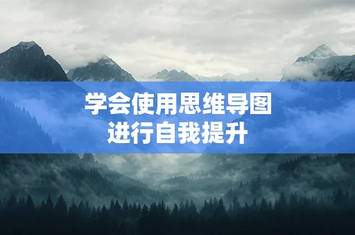 学会使用思维导图进行自我提升