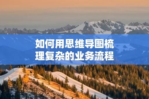 如何用思维导图梳理复杂的业务流程