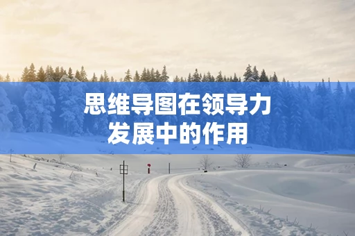 思维导图在领导力发展中的作用