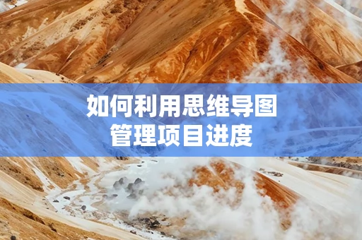 如何利用思维导图管理项目进度