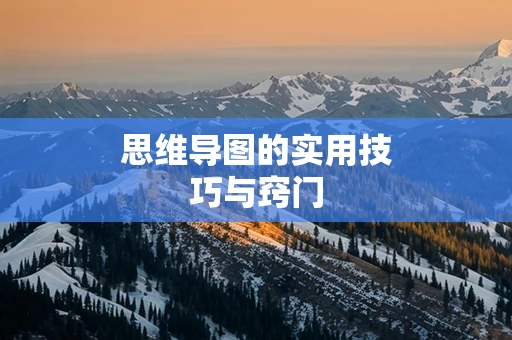 思维导图的实用技巧与窍门