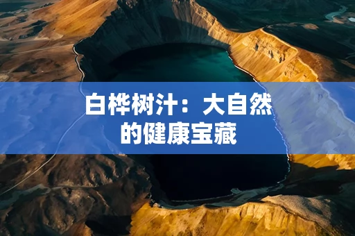 白桦树汁：大自然的健康宝藏